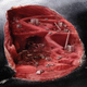 Illustration for article titled What would it look like if you could peel a city off Earths crust?